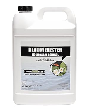 Bloom Buster Algae Control for Fish Ponds Water Gardens - Gallon - Safe for Koi Fish Goldfish Plants