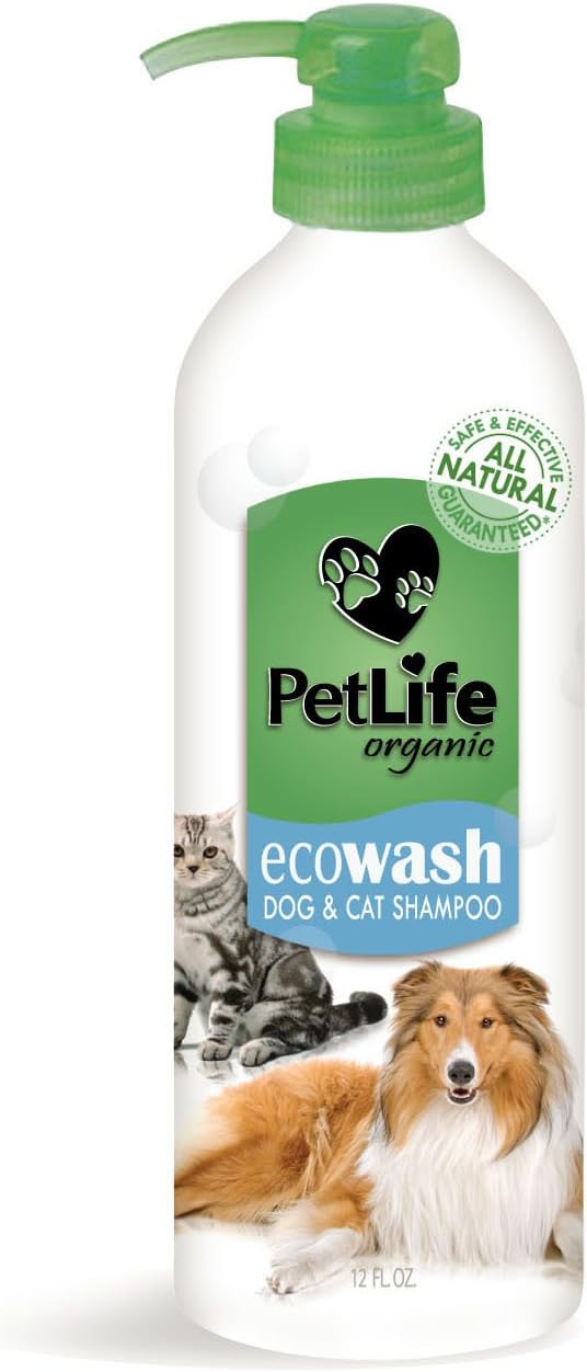 EcoWash Organic Shampoo, 12-Ounce