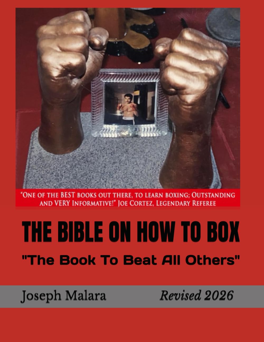 THE BIBLE ON HOW TO BOX: The Book To Beat All Others