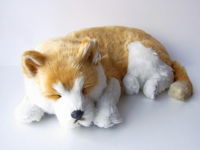 驚きの価格が実現！】 Perfect Petzzz パーフェクトペット