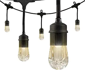 Enbrighten Classic Warm White String Lights, 24ft Black Cord, 12 Shatterproof Acryllic Bulbs, Weatherproof, Outdoor String Lights, 31662