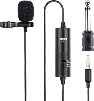 ピンマイク使えます 613VFHjIFiL._AC_UF350,