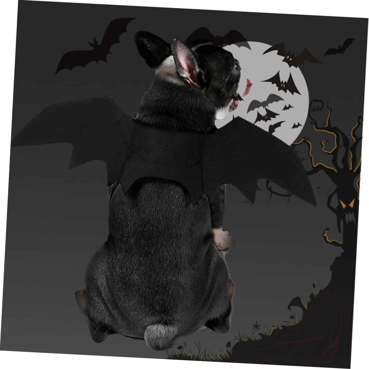 Angoily 3st Haustier-urlaubskostüm Kätzchen-Kleidung Fledermaus Halloweenkostüm Kostüm Für -Outfit Kleines Hundezubehör Halloween-haustierkleidung
