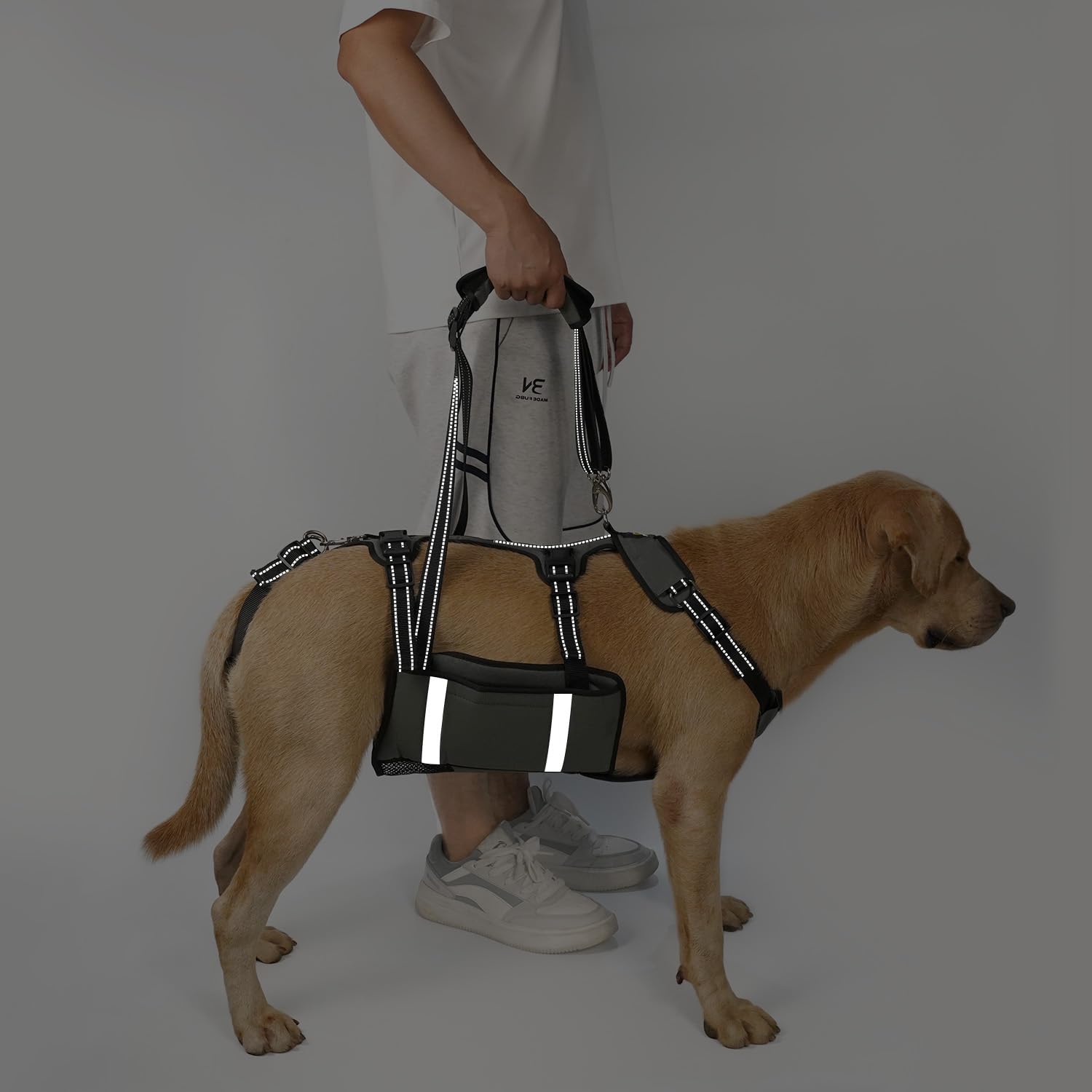 COODEO Harnais de Transport d'urgence pour Chien, Support de Jambe arrière pour Animal Domestique, Gilet de rééducation, Transport pour Chiens âgés, blessures articulaires, arthrite(Vert,L)