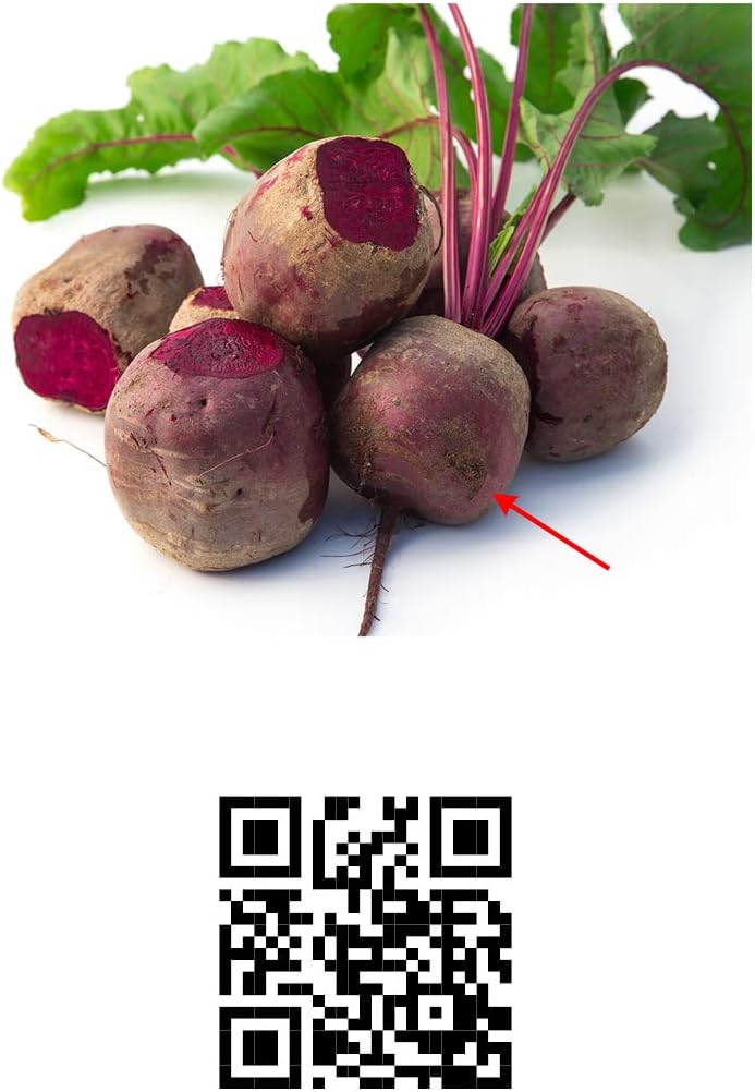 104 Cartes augmentées Montessori Fruits et Légumes