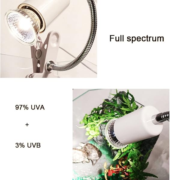 NEWFUN Lampada termica a tartaruga, 4 pezzi, E27, 25 W, dimmerabile, 220 V, UVA + UVB, lampada da sole a spettro completo, lampada per il riscaldamento del sole, per Lizard, rettili d'acquario - 3