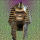 disk drive power connector molex  Sun Disk Drive