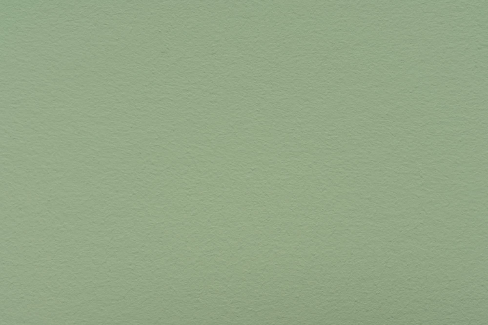 LEINOS Set de pintura para paredes (2,5 l, resina natural de emulsión 660 + 75 ml, pigmento concentrado 668.329), color verde