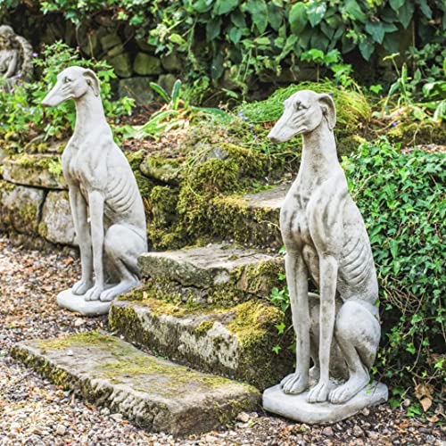 Image of DGS STATUES – Pair Large Greyhound Stone Cast Garden Ornaments 45KG Each