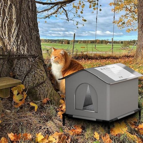 Abri étanche pour chats de petite taille avec structure surélevée isolante