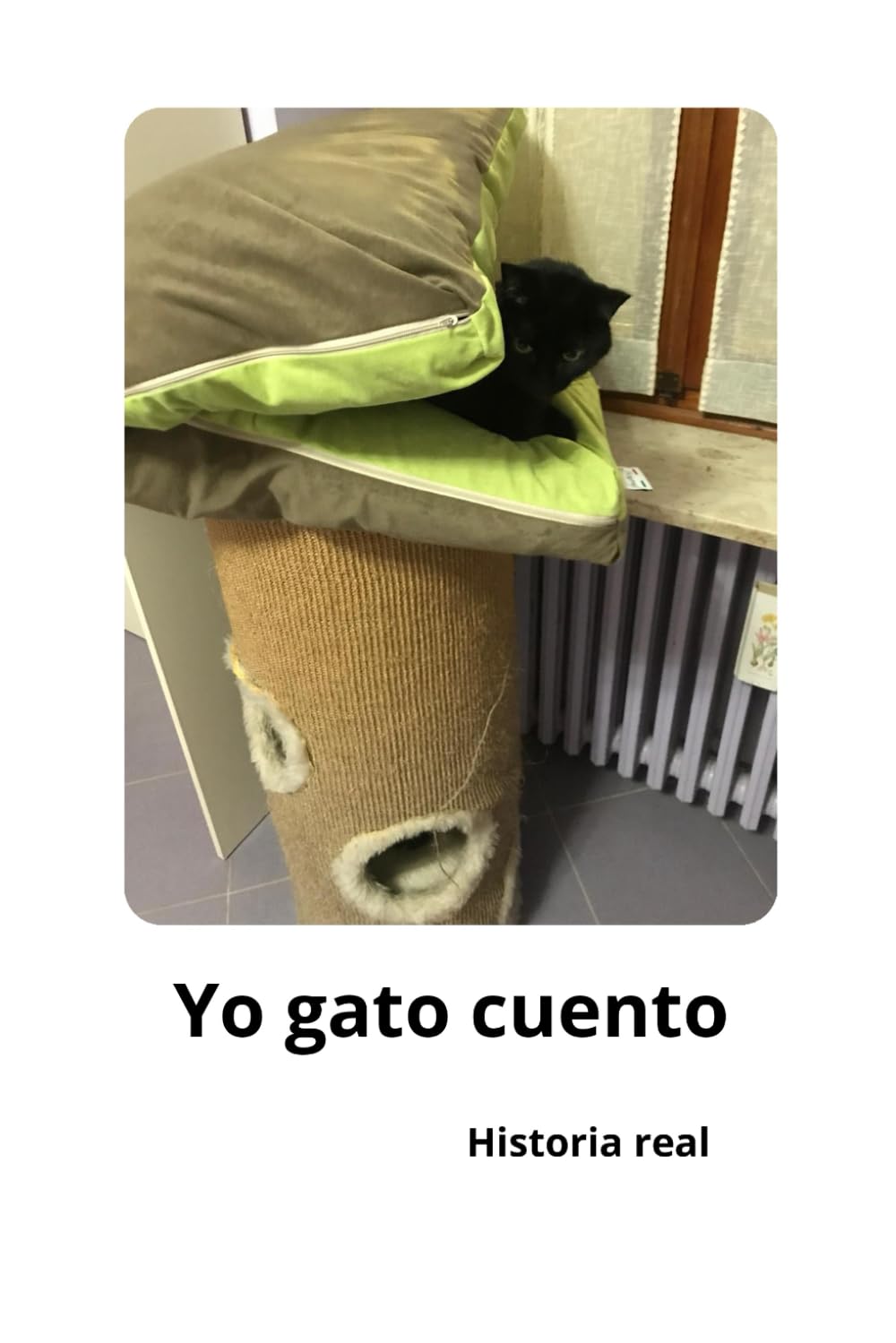 Yo Gato Cuento:: Cuento a mi familia