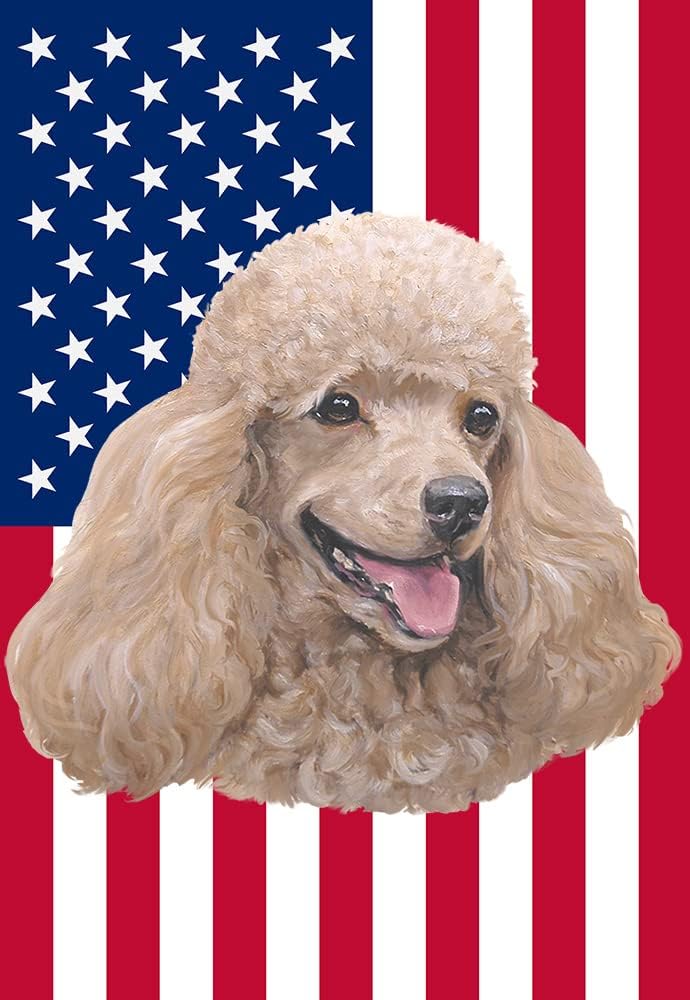 Poodle Cream - Best of Breed American Flags House Flag 28" x 40"
