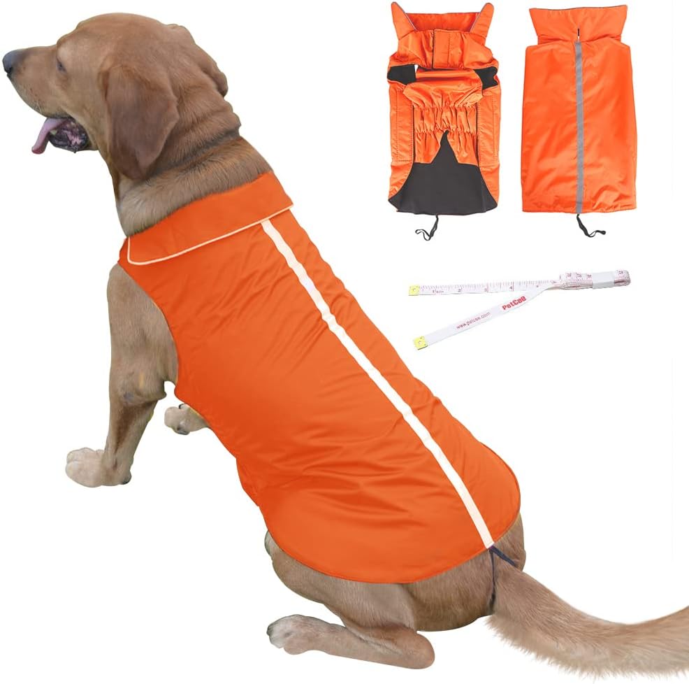 medium dog winter coats