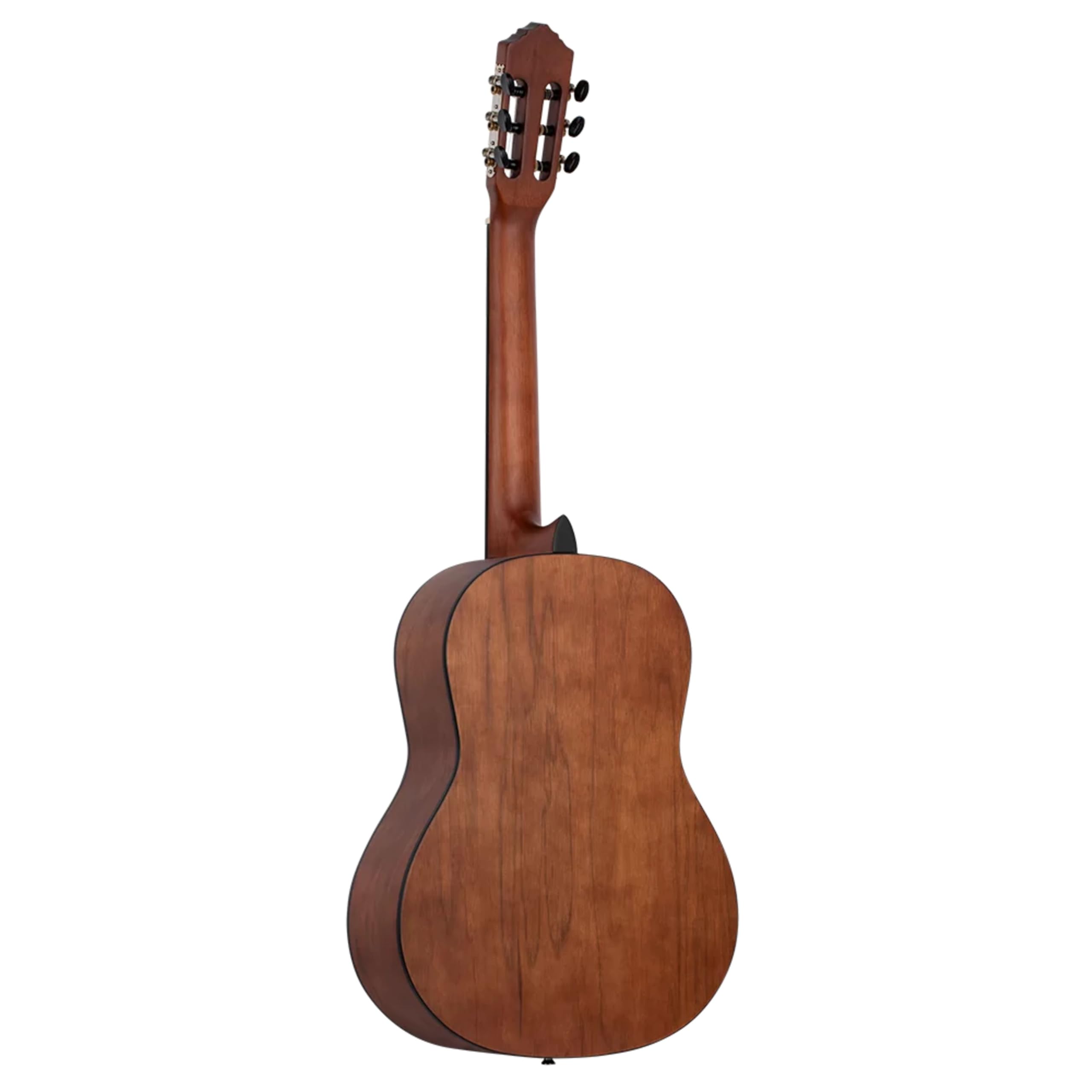 Amazon | Ortega RSTC5M - 4/4 Konzert Natur - 学生シリーズ
