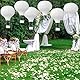 Niuhong 2 Pcs Runde Laterne Lampions Heißluftballon Hängen Kinderzimmer Dekoration Ballon Lampenschirm Papierlaterne Papierlampion Papierlampe Ornament Party Geburtstag Hochzeit Taufe (weiß, 30cm)