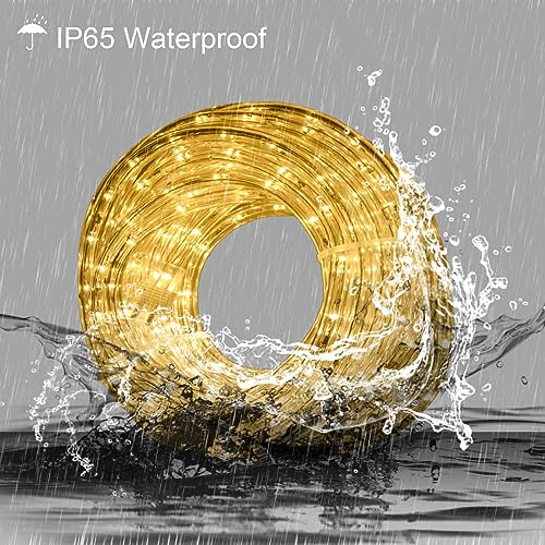 Beatineon 33Ft Rope Lights Outdoor With Remote,Cuttable Connectable,300Leds Strip Lights With Adjustable Brightness Waterproof With Plug For Patio,Christmas Decoration (Warm White) #TOP1