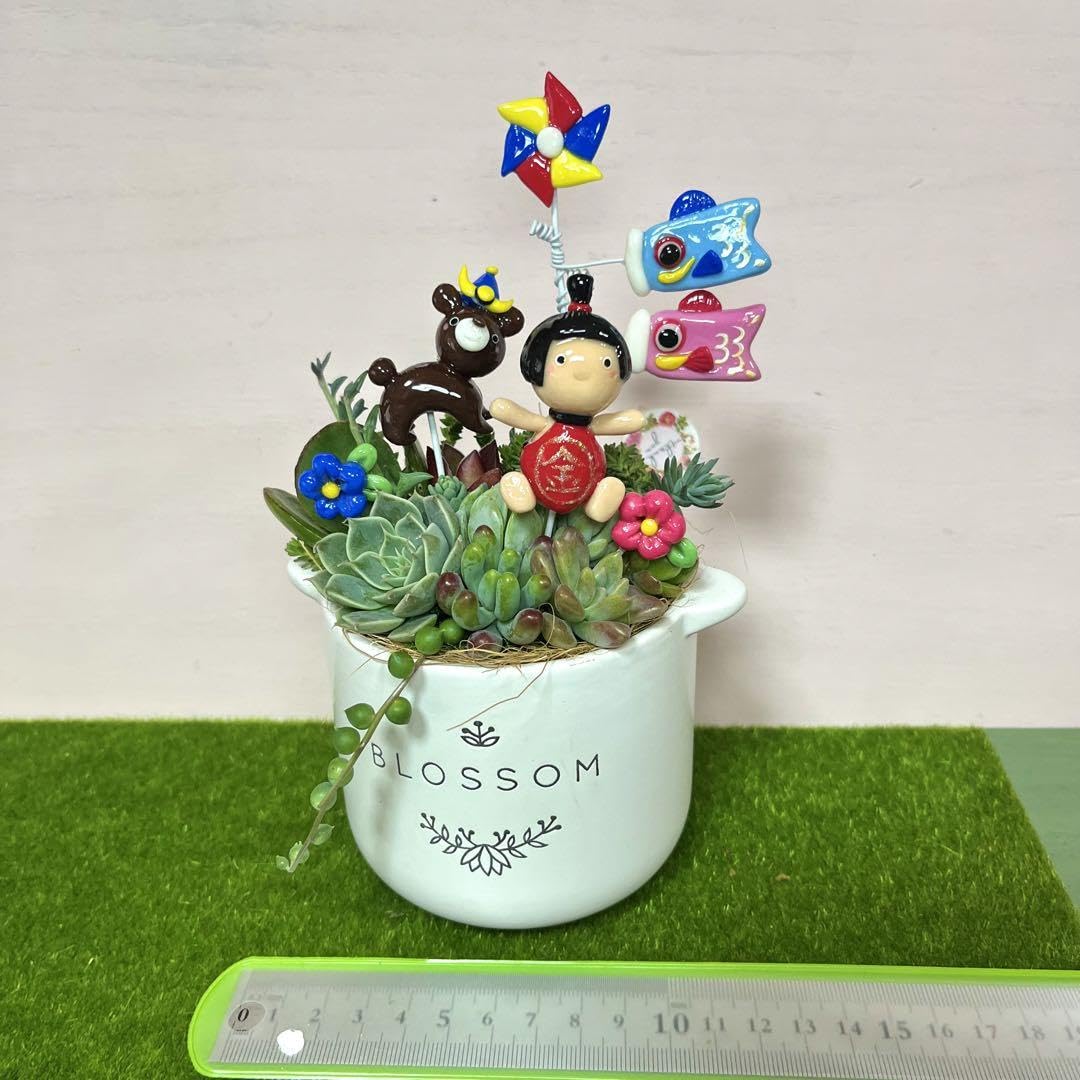 Amazon.co.jp: 多肉植物寄せ植え樹脂粘土レジン(粘土細工)ガーデン