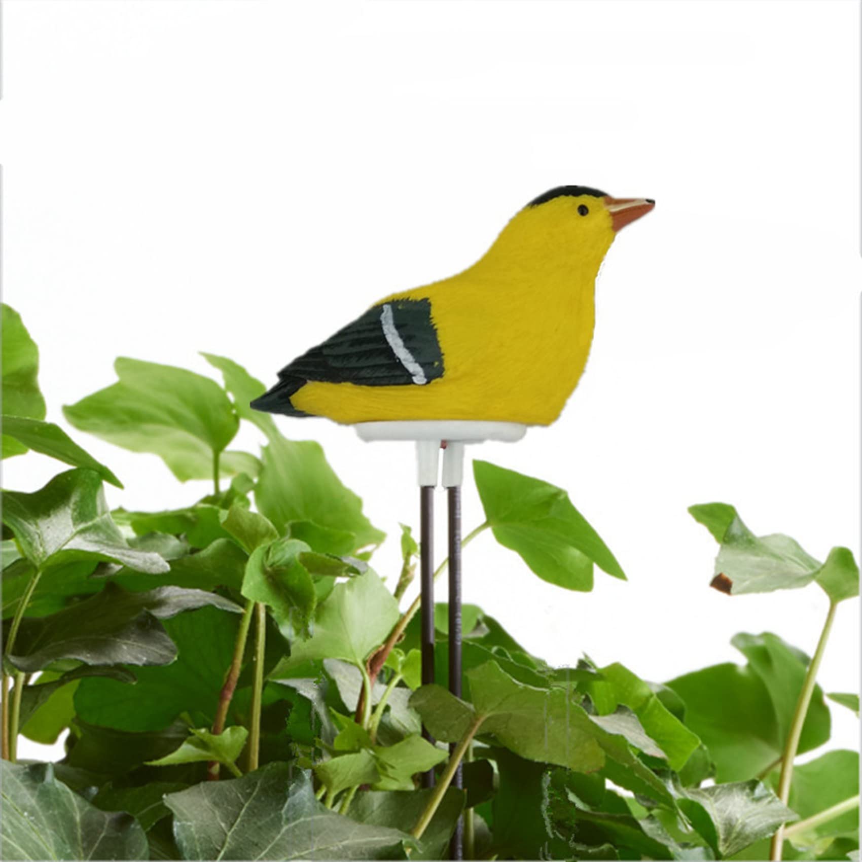 6X Sol HumidimèTre Alarme D'Arrosage Testeur D'Eau des Plantes D'Oiseaux Capteur HygromèTre Trousse de Jardinage pour Planteur Eau Rappelez Warining Alerte (Jaune)