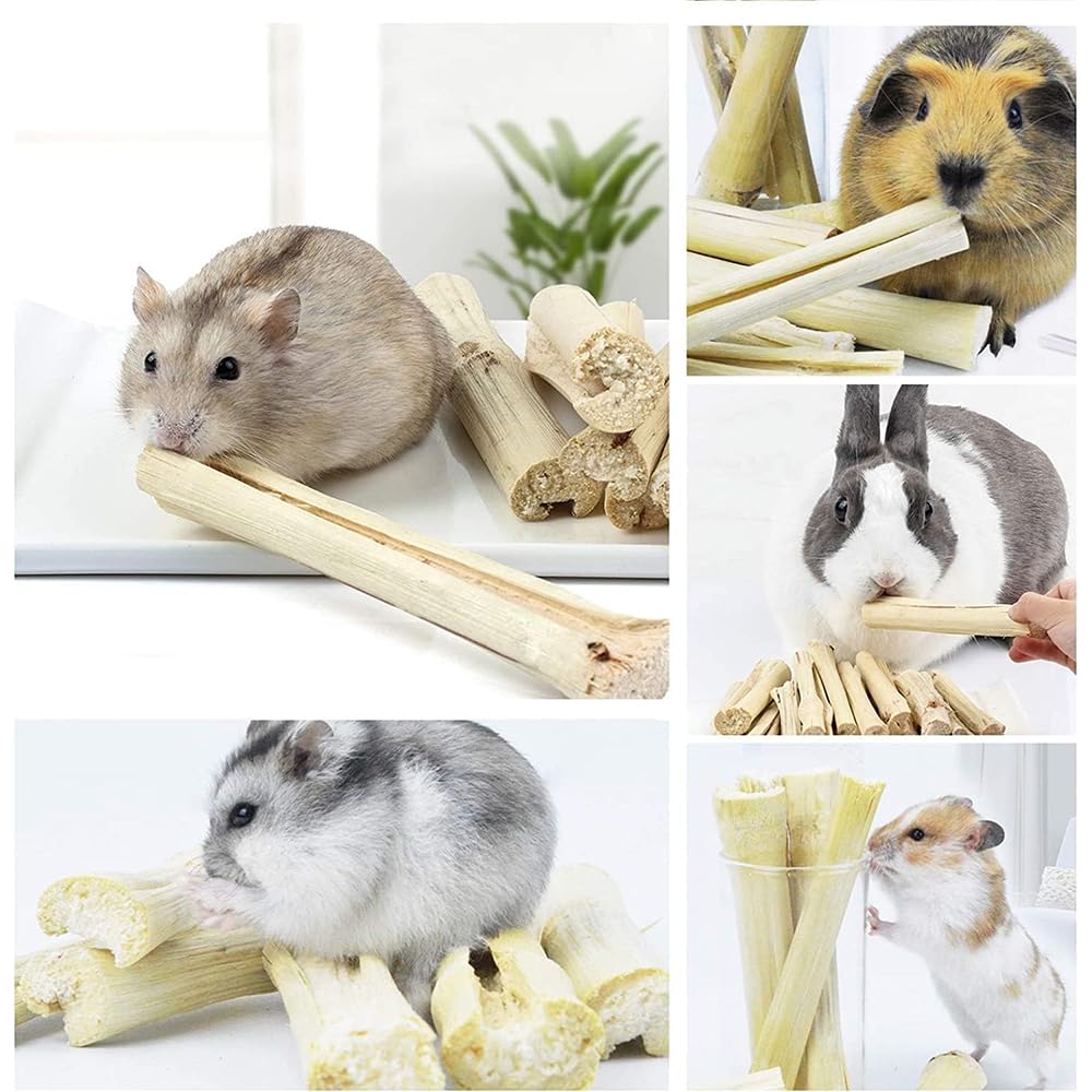 Amazon.co.jp: りんご枝 300g うさぎ ハムスター 嚙むおもちゃ 甘い竹