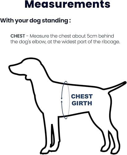 Miniatura 6 de Arnés para perro fácil de caminar y entrenar, sin tirones, arnés no restrictivo con hebilla para el cuello, correas de nailon, anillos en D de