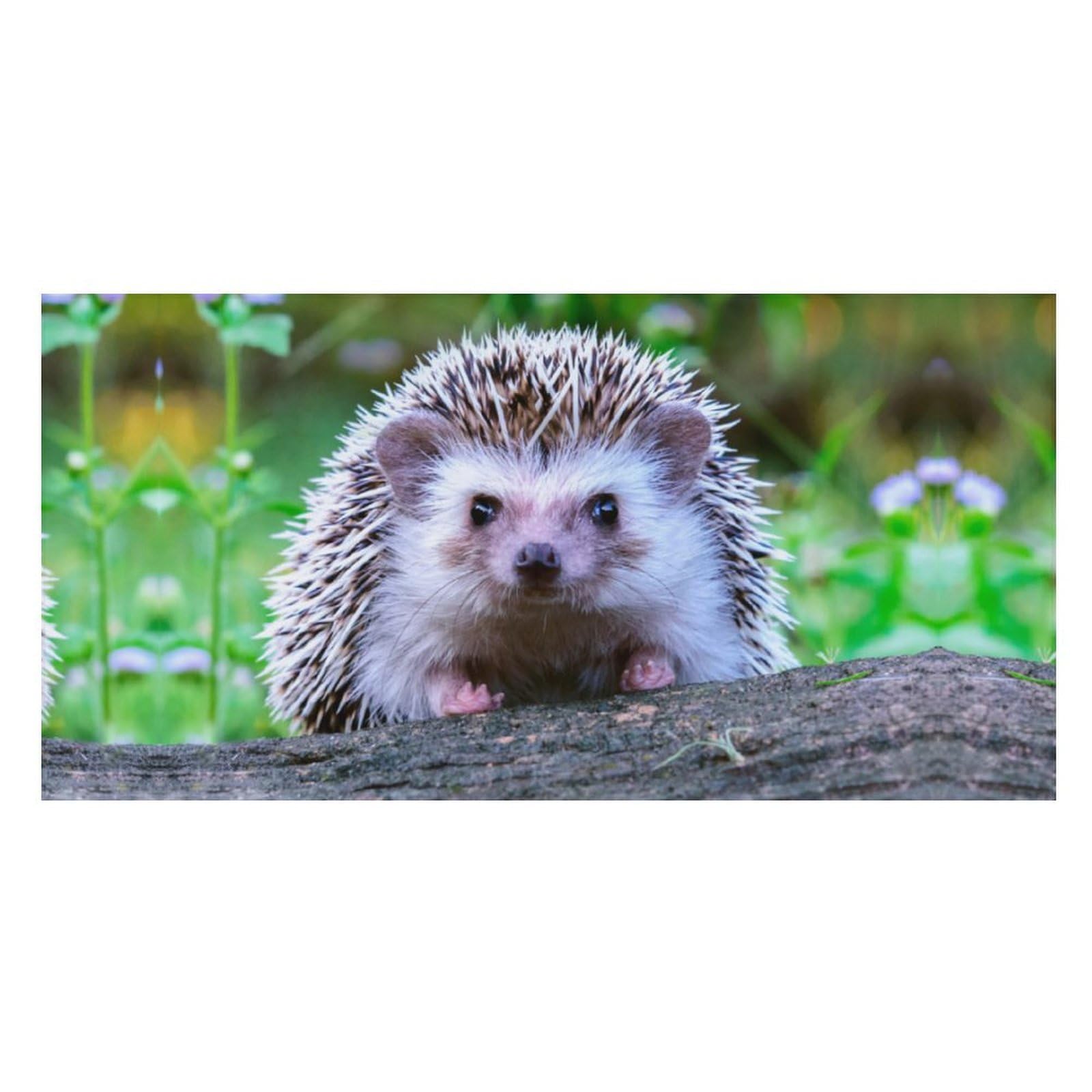LWORZIIB Beach Towel, Cute Little Hedgehog Bath Towel, Pool Towel Great for Gym Swimming 80 X 160cm