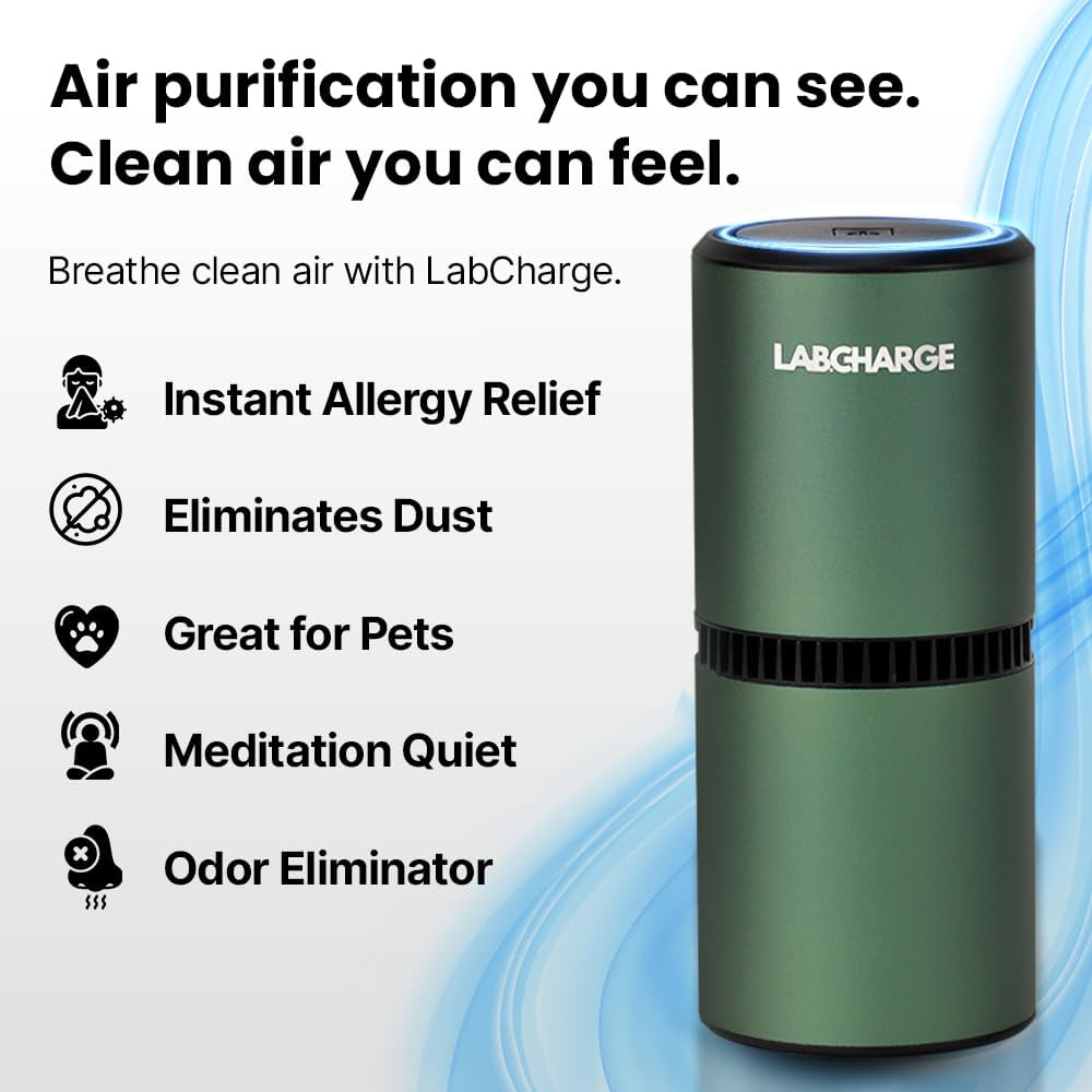 Lab Charge Piccolo purificatore d'aria ionico per casa e camera da letto, filtro HEPA silenzioso, copre 250 mq, detergente per animali domestici, capelli, fumo, polvere, odori e forfora, design