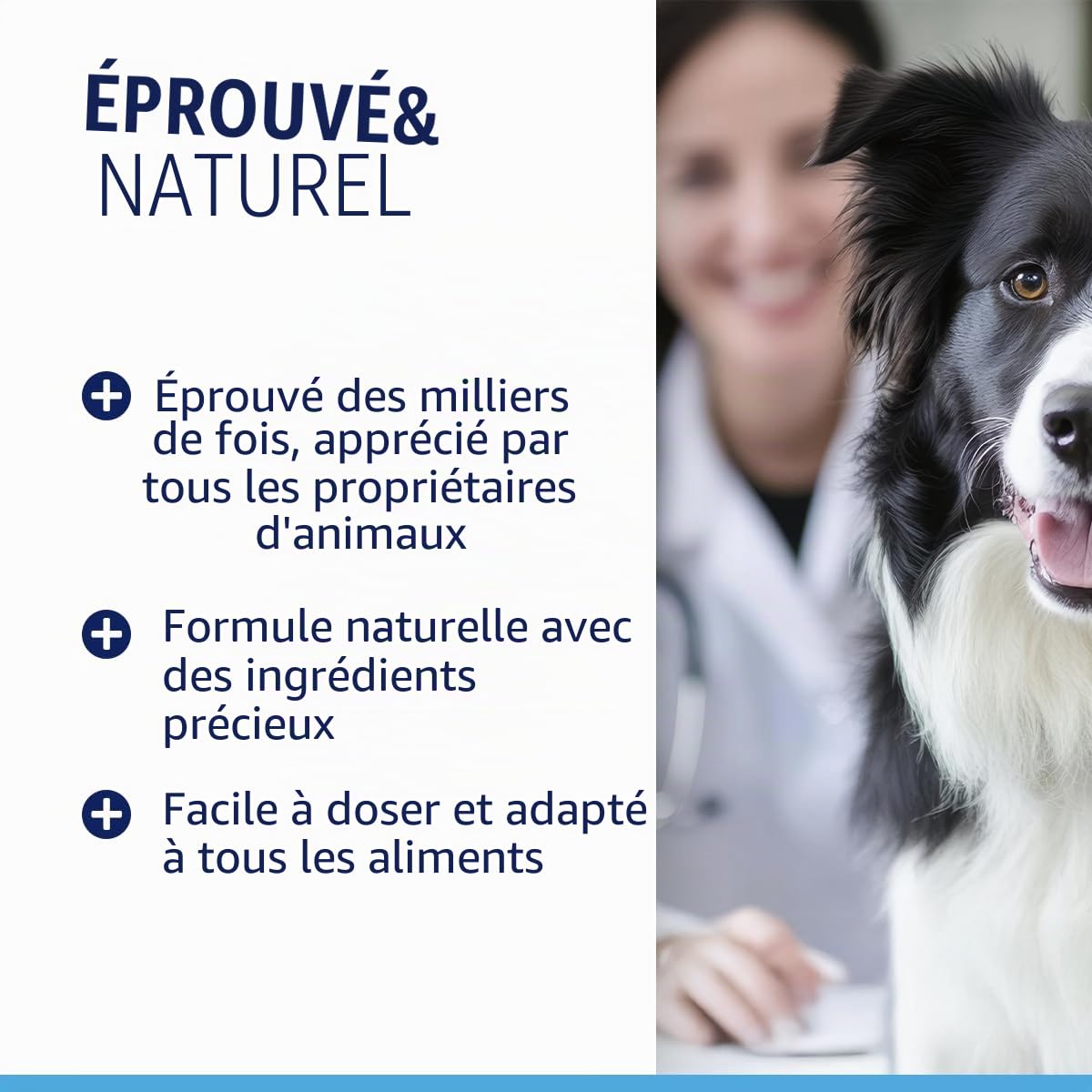 Animal Supply Vermifugeuse liquide liquide 50 ml - Cure secondaire pour tous les animaux de compagnie, chien, chat, recette naturelle, vermifuge secondaire, sans anthelminthique