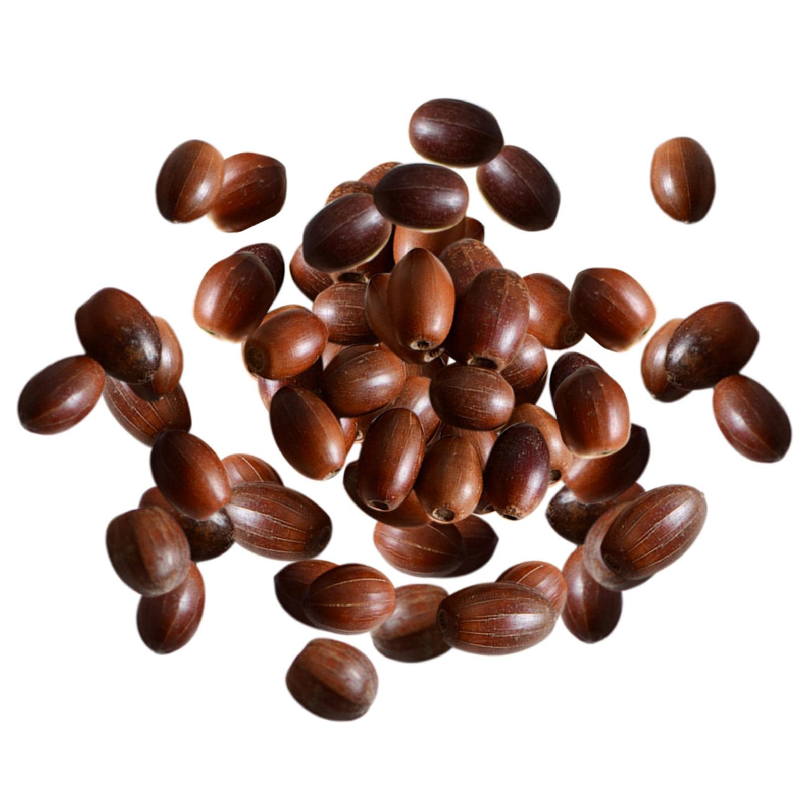 100 Bellotas Naturales Secas - Para Manualidades, Decoración Navideña Y Bricolaje