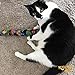 Cat Kicker Toys – 15