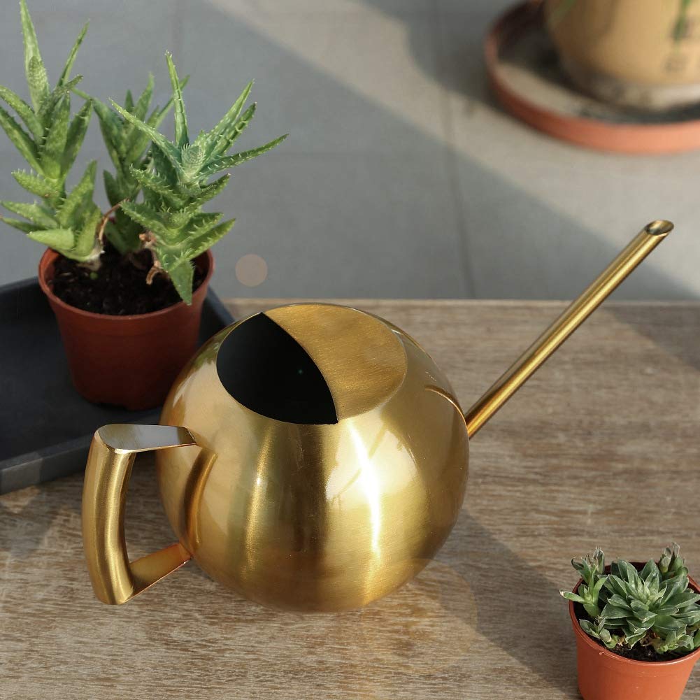 Arrosoir pour Plantes d'Intérieur, 1000 Ml/33 Oz en Acier Inoxydable à Bec Long, Arrosoir de Jardin pour Bonsaï, Fleurs de Jardin, Plantes, Outil de Fleur(Or)