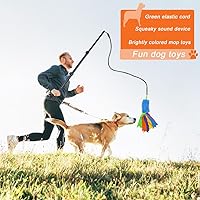 Vista 6 de ASOCEA Poste de coqueteo para perros, varita extensible interactiva, juguetes interactivos para perros, palo de coqueteo para mascotas