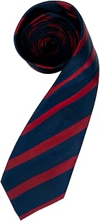 FVCENT Halloween Tie Men's Classic Diagonal Red Blue Stripe Tie Cartoon Movie Costume Props Role Playing Holiday Dress up Christmas Party Accessories