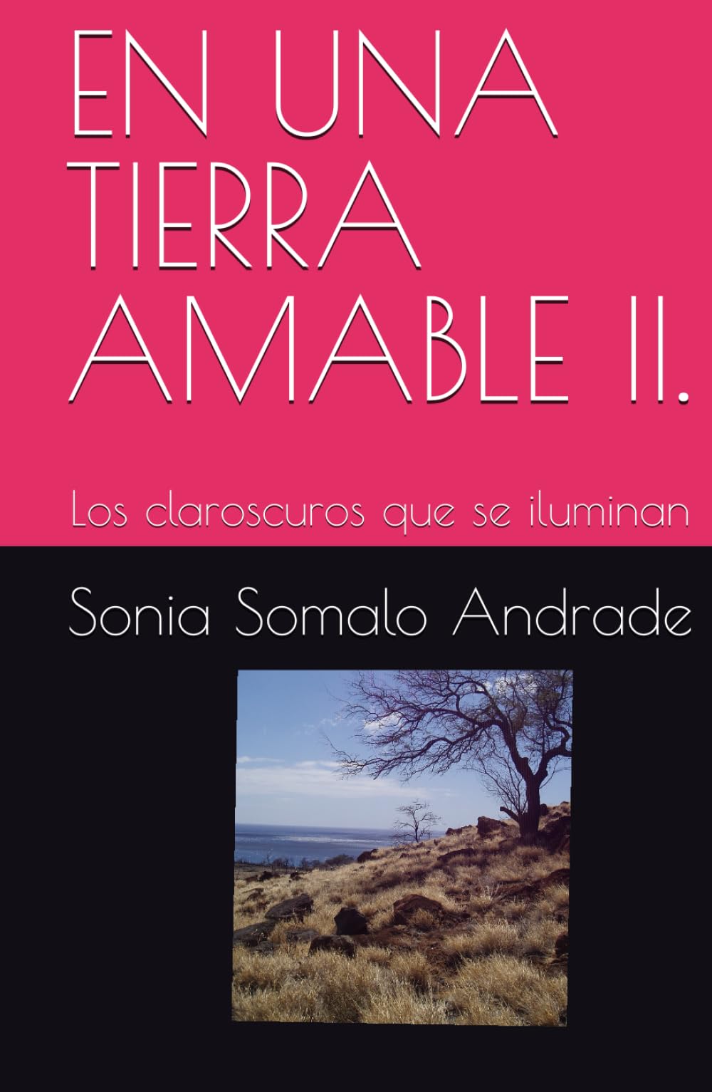 EN UNA TIERRA AMABLE II.: Los claroscuros que se iluminan