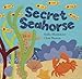 Secret Seahorse (Hide-And-Seek Books (Barefoot Books))