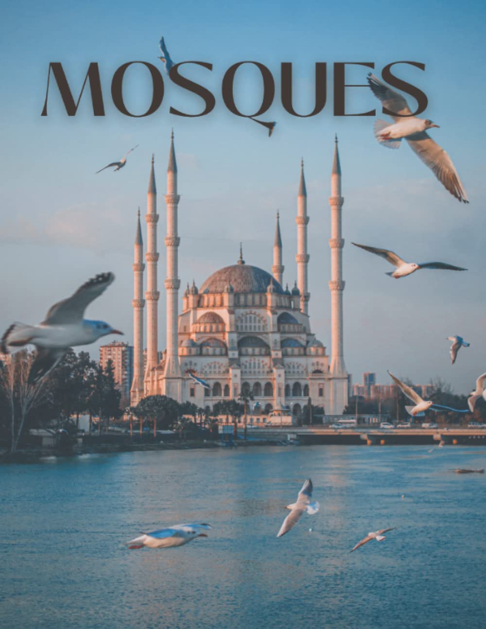 Mosques: A Collection of Beautiful Mosque Pictures, Coffee Table Picture Book