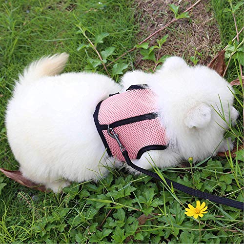 Pettom Bunny Rabbit Harness With Stretchy Leash Cute Adjustable Buckle Breathable Mesh Vest Harness And Leash Set For Kitten Small Pets Holland Lop Bunnies Walking (S(Chest:10.8-12.9 In), Pink) #TOP6