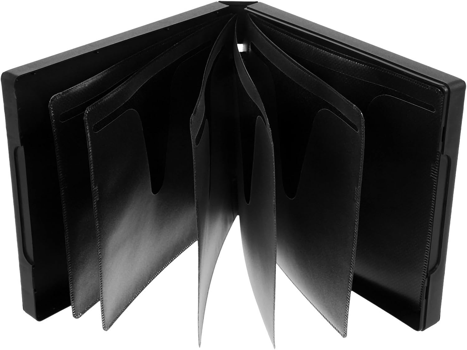 Portable Acrylic Disc Storage Case for 12 Cds and DVDs
