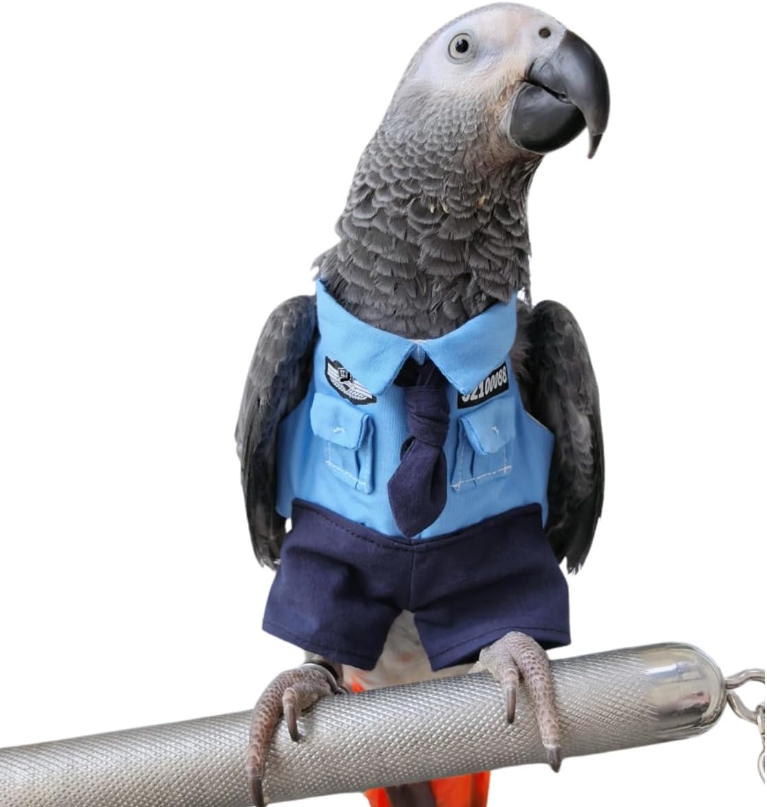 Cute Bird Clothes Cool Christmas Party Birthday Costume for Halloween Pet Birds Clothes Parrot Cosplay Outfit for Lovebird Macaw Conure Cockatoo African Grey (Macaw)