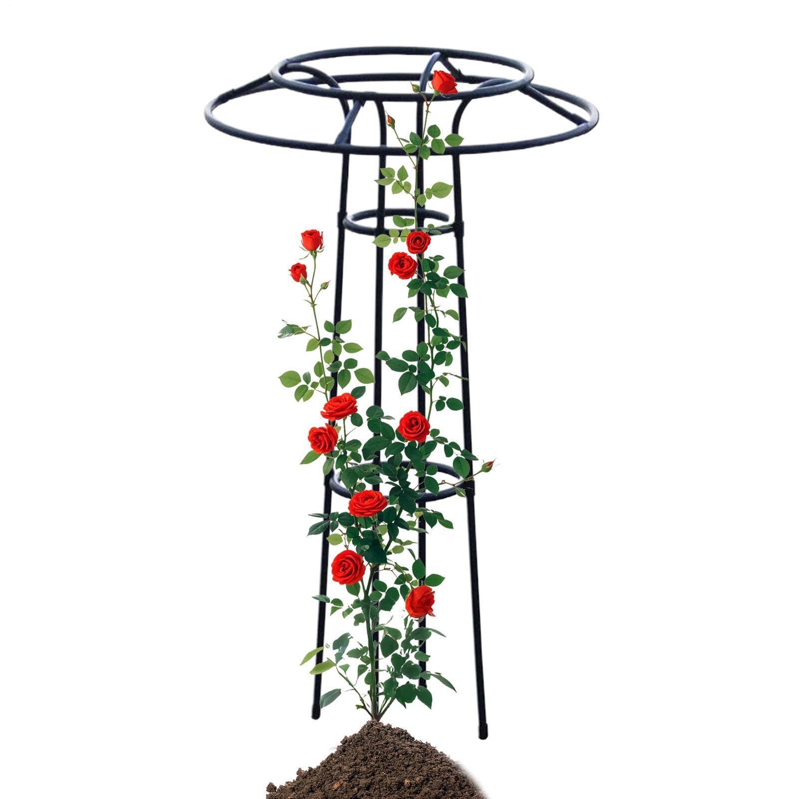 Treillis d'extérieur parapluie pour redresser les plantes tombantes du jardin