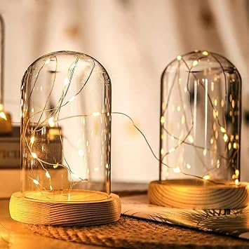 Clear Glass Dome Wooden Base LED Light Landscape Vase Flower Jar Cloche Cover DIY Succulent Plant Container Holder Bedroom Decor