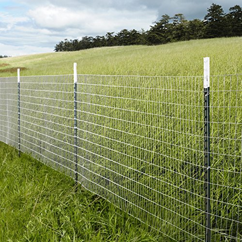 Mtb Galvanized Welded Wire Mesh Garden Economy Fence 36" X50'-2"X3" 16Ga #TOP2