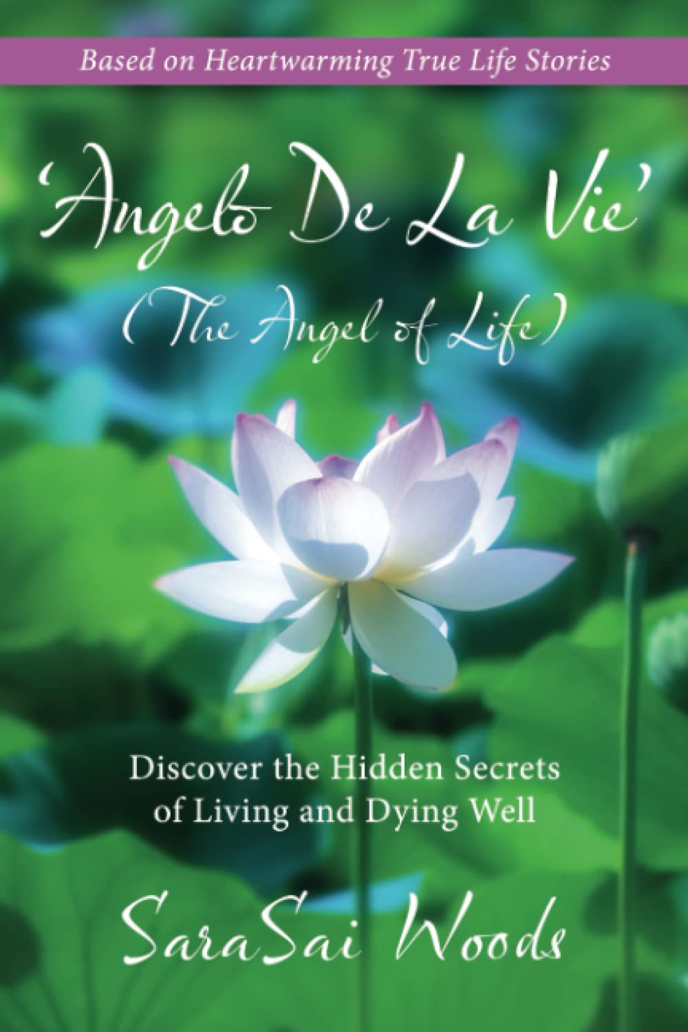 'Angelo De La Vie' The Angel of Life: Discover The Hidden Secrets of Living and Dying Well