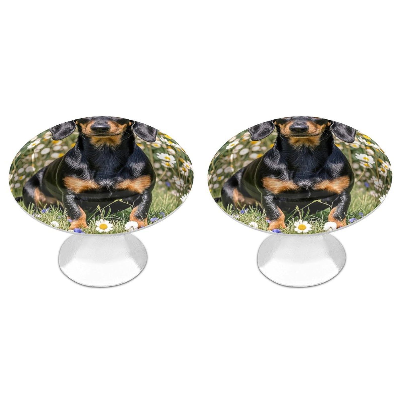 QMNLKH Pad Dachshund Cabinet Knobs for Home, Round Drawer Pulls for Kitchen, Personalized Cupboard Handles with Screw, Fashion Dresser Knobs for Office, Drawer Handles, 2 Packs