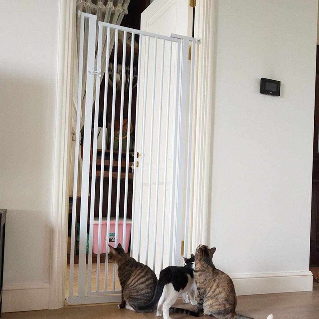 Porte d'isolation et balustres d'escalier pour animaux de compagnie pour limiter l'accès
