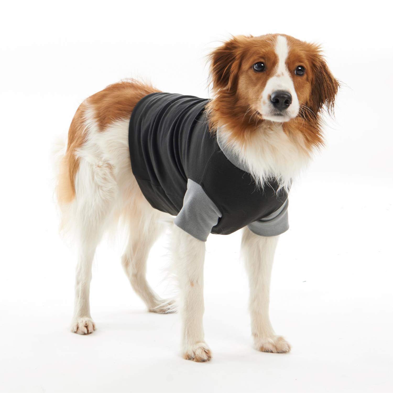 Buster Body Suit Classic perro, Negro/gris, 52cm, T- L