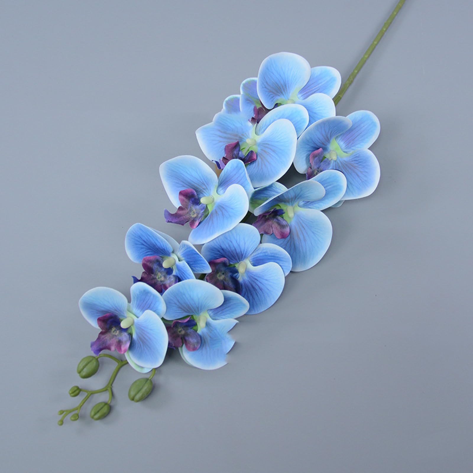 Amazon.co.jp: BWZIHUANC 蘭の茎 造花 リアルタッチ ラテックス 人工