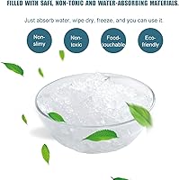 Vista 5 de Paquetes de hielo para enfriar y enviar, paquetes de hielo seco de larga duración para envío de alimentos congelados para envío, hojas de hielo