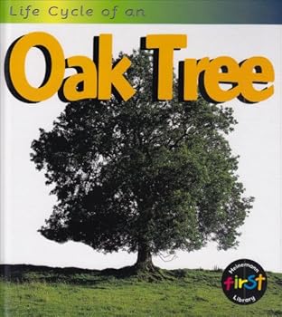 Life Cycle of an Oak Tree (Life Cycle of a ...)
