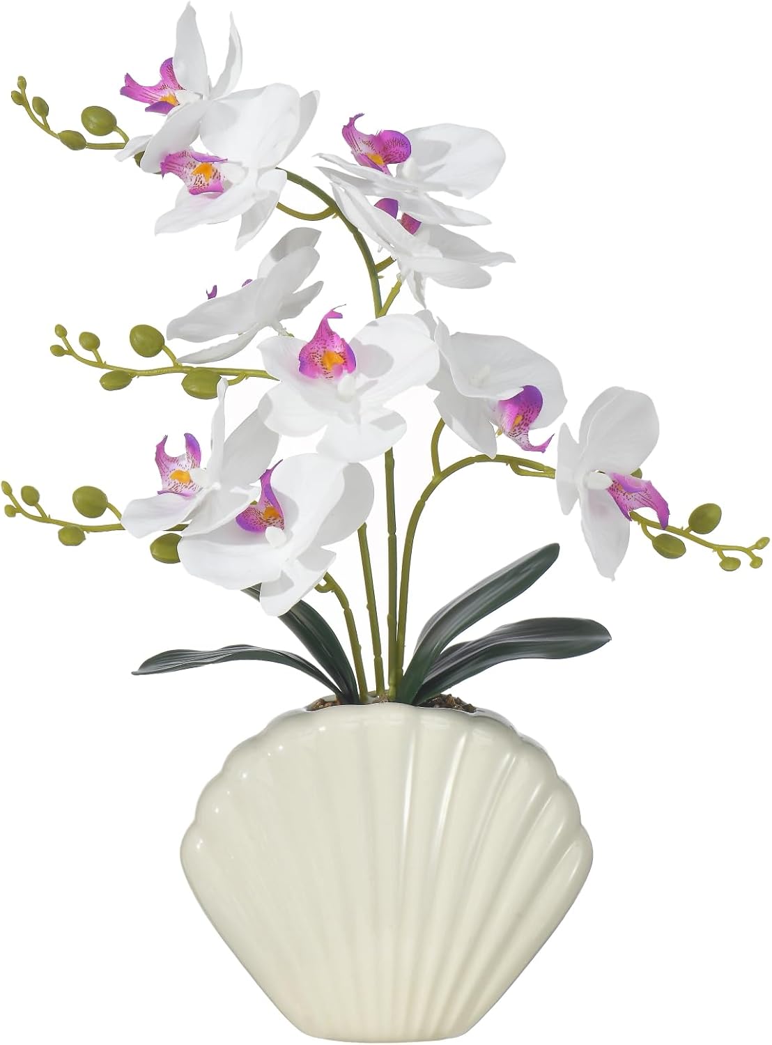 Artificial Phalaenopsis Orchid Plant in Seashell Pot, 16" Fake Orchid Flowers, Silk Faux Orchids for Home Decor, Office, Table Centerpiece, Real Touch Lifelike Indoor House Plant (White)