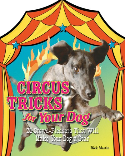Tours de cirque pour chien : la solution contre l'ennui et les bêtises à la maison